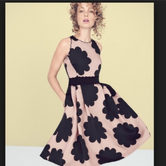 kate spade Dresses & Skirts - **Kate spade petal stamp fit and flare dress 10 nwot @katiezakhar $200